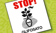 STOP al Glifosato… ma non tra 15 anni!