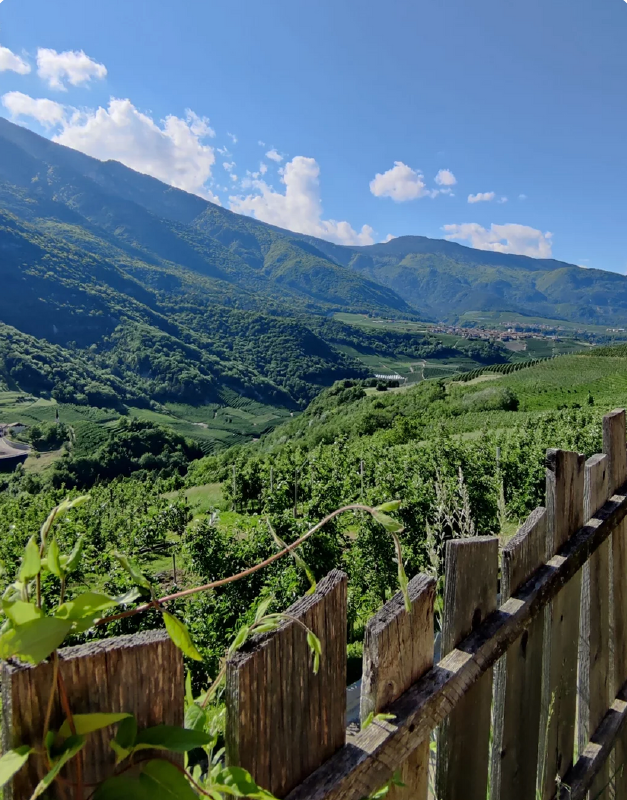 Azienda agricola biologica Osti