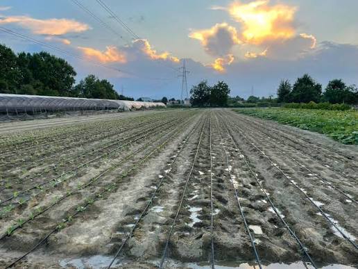 Azienda agricola Bressan